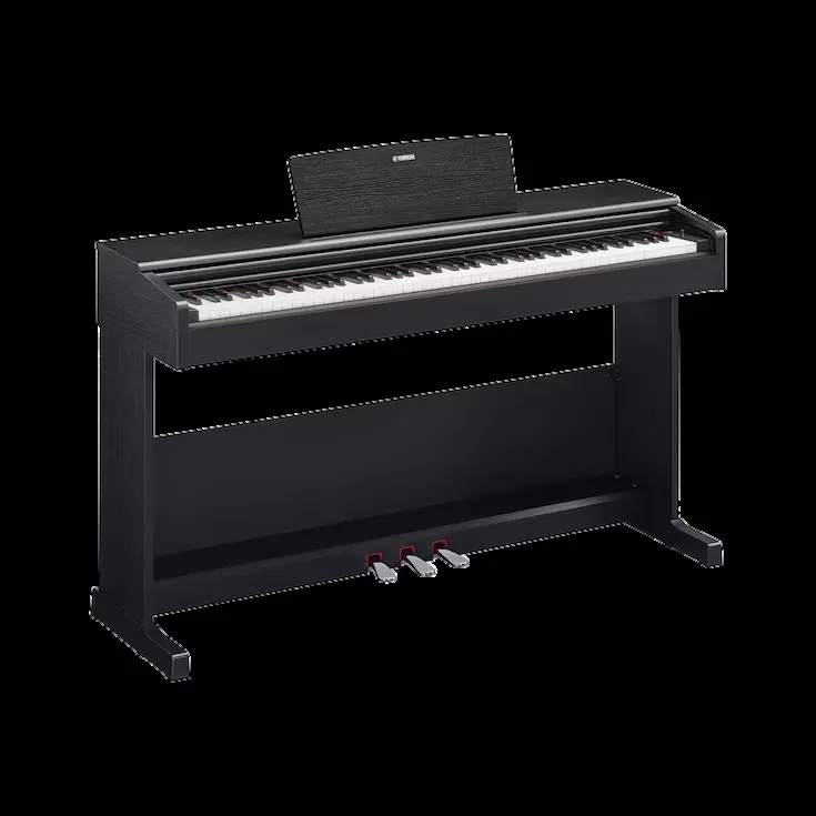 Yamaha ARIUS YDP-105